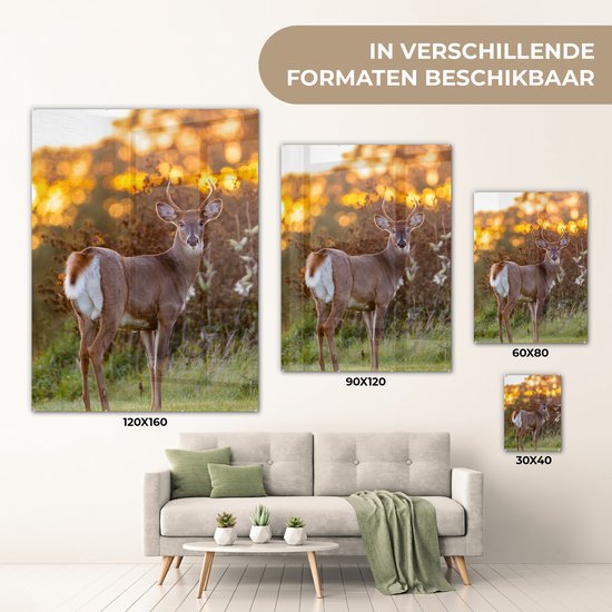 Peinture sur verre - Verre acrylique - Cerf - Bruyère - Nature - Coucher de soleil - Peinture sur verre - Photo sur verre - Décoration murale - 120x160 cm - Peinture sur verre animaux - Décoration murale