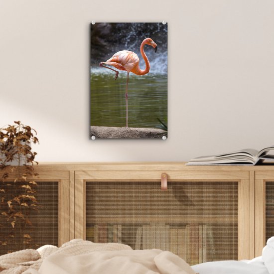 Flamant rose fond sombre Verre 20x30 cm - petit - Tirage photo sur verre (décoration murale en plexiglas)