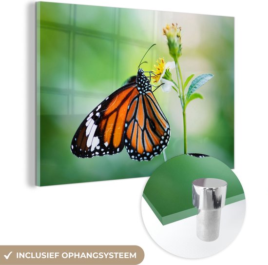 MuchoWow® Peinture sur verre 90x60 cm - Peinture sur verre acrylique - Papillon - Fleurs - Insectes - Photo sur verre - Peintures