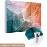 MuchoWow® Glasschilderij 150x100 cm - Schilderij acrylglas - Bloem - Paardenbloem - Plant - Foto op glas - Schilderijen