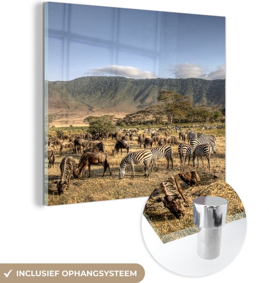 MuchoWow® Glasschilderij 90x90 cm - Schilderij acrylglas - De Ngorongoro krater met veel wilde dieren die staan te grazen in Tanzania - Foto op glas - Schilderijen