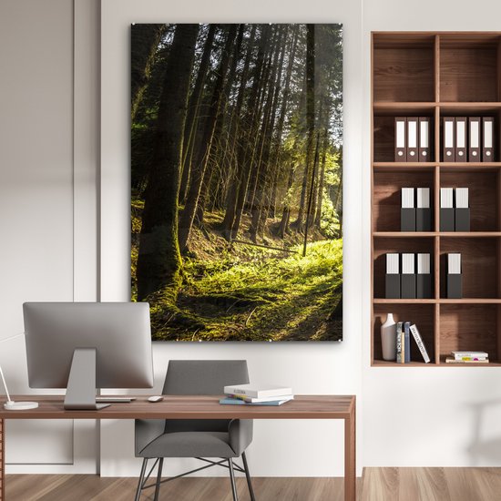 MuchoWow® Peinture sur verre - Arbre - Nature - Soleil - Forêt - 100x150 cm - Peintures sur verre acrylique - Photo sur Glas