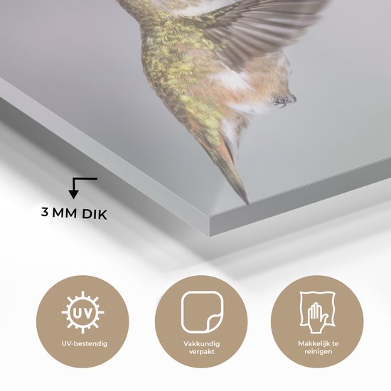 Un mâle et une femelle colibri calliope Plexiglas 60x40 cm - Tirage photo sur Glas (décoration murale plexiglas)