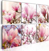Schilderij - Zuidelijke magnolia's , wit roze , 6 luik