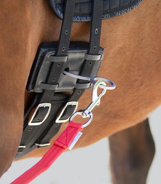 Professional's Choice Lunging Buddy