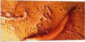 Vlag - Textuur in Mix van Oranje Tinten - 100x50 cm Foto op Polyester Vlag