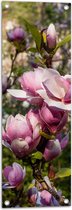 Tuinposter – Roze Magnolia Bloemen aan Struik in het Veld - 30x90 cm Foto op Tuinposter (wanddecoratie voor buiten en binnen)