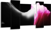Peinture sur toile corps | Noir, blanc, rose | 120x65 5 Liège