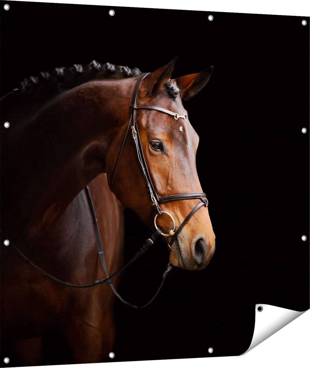 Gards Tuinposter Bruin Paard op een Zwart Achtergrond - 110x110 cm - Tuindoek - Tuindecoratie - Wanddecoratie buiten - Tuinschilderij Multikleur