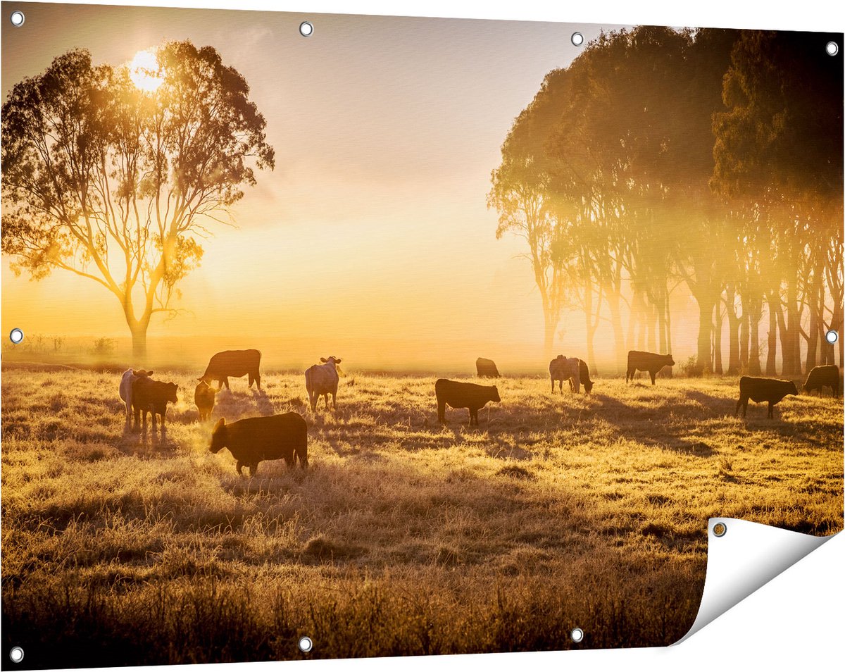 Gards Tuinposter Kudde Koeien in de Wei met Zonsopkomst - 120x80 cm - Tuindoek - Tuindecoratie - Wanddecoratie buiten - Tuinschilderij Multikleur