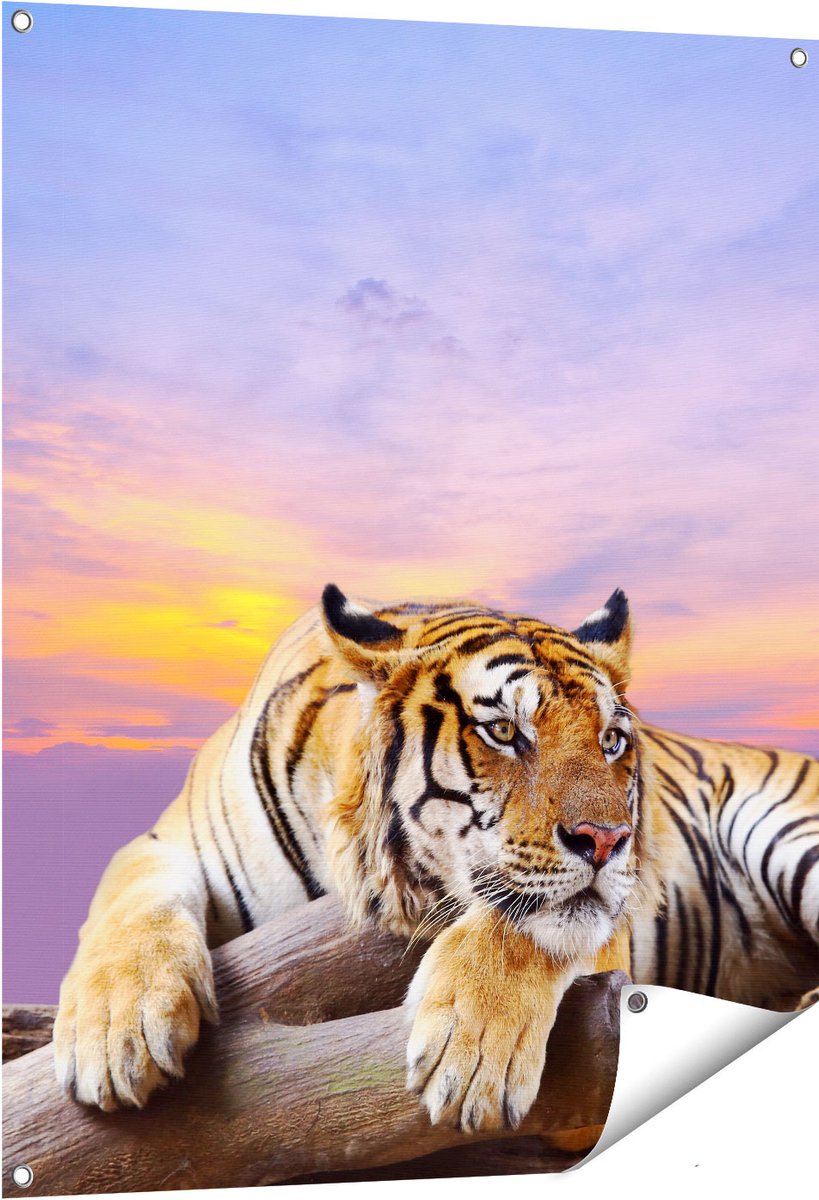 Gards Tuinposter Tijger tijdens Zonsondergang - 80x100 cm - Tuindoek - Tuindecoratie - Wanddecoratie buiten - Tuinschilderij Multikleur