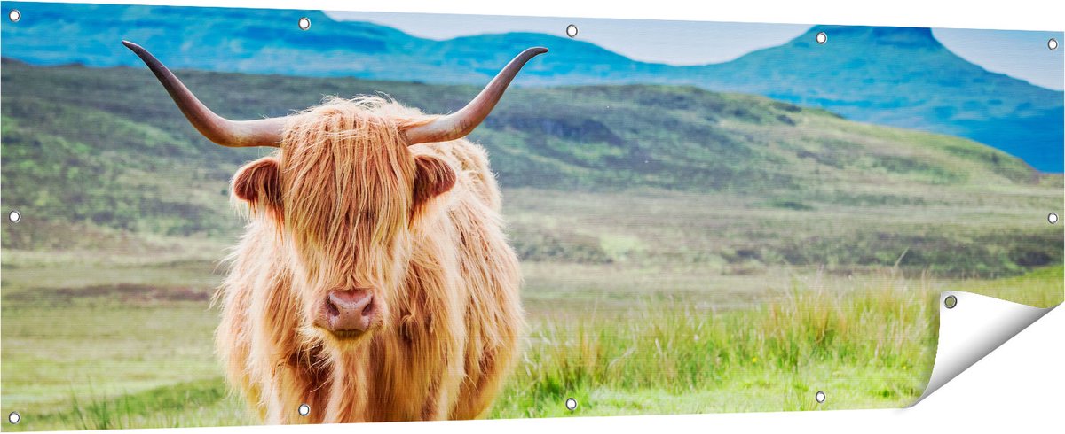 Gards Tuinposter Schotse Hooglander in de Wei - Kleur - 180x60 cm - Tuindoek - Tuindecoratie - Wanddecoratie buiten - Tuinschilderij Multikleur