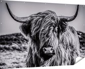 Gards Affiche de jardin Vache Highlander écossaise - Zwart Wit - 180x120 cm - Toile jardin - Décoration de jardin - Décoration murale extérieur - Tableau jardin