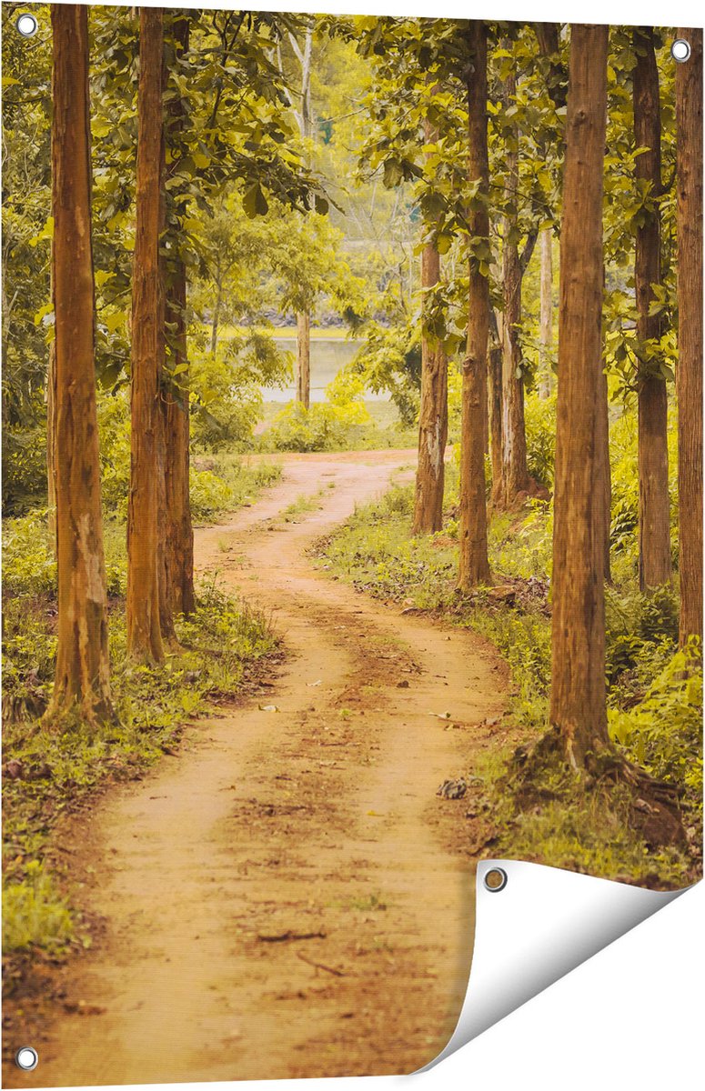 Gards Tuinposter Pad in het Bos met Bomen - 60x80 cm - Tuindoek - Tuindecoratie - Wanddecoratie buiten - Tuinschilderij Multikleur