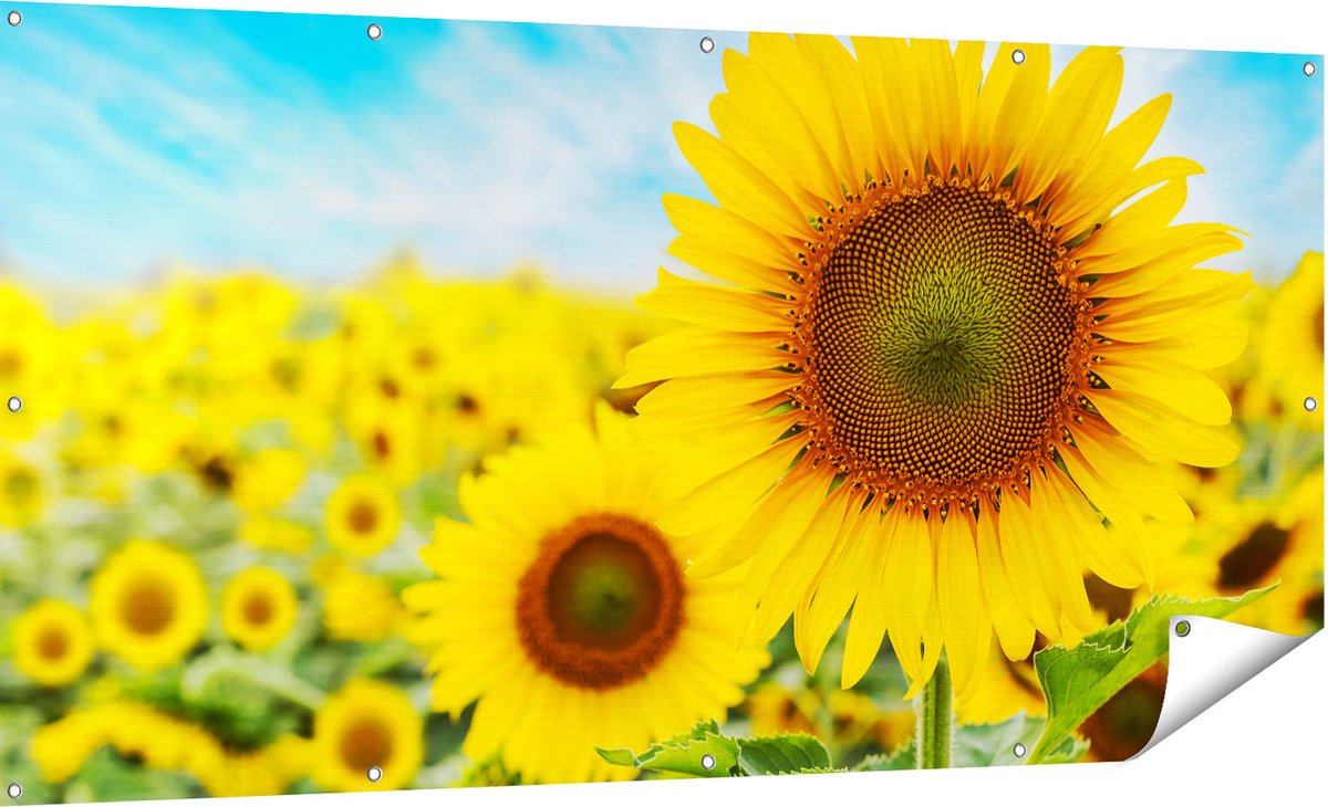 Gards Tuinposter Zonnebloemen Veld - 180x90 cm - Tuindoek - Tuindecoratie - Wanddecoratie buiten - Tuinschilderij Multikleur