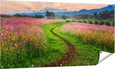 Gards Tuinposter Kosmos Bloemenveld met een Pad - Bloemen - 160x80 cm - Tuindoek - Tuindecoratie - Wanddecoratie buiten - Tuinschilderij