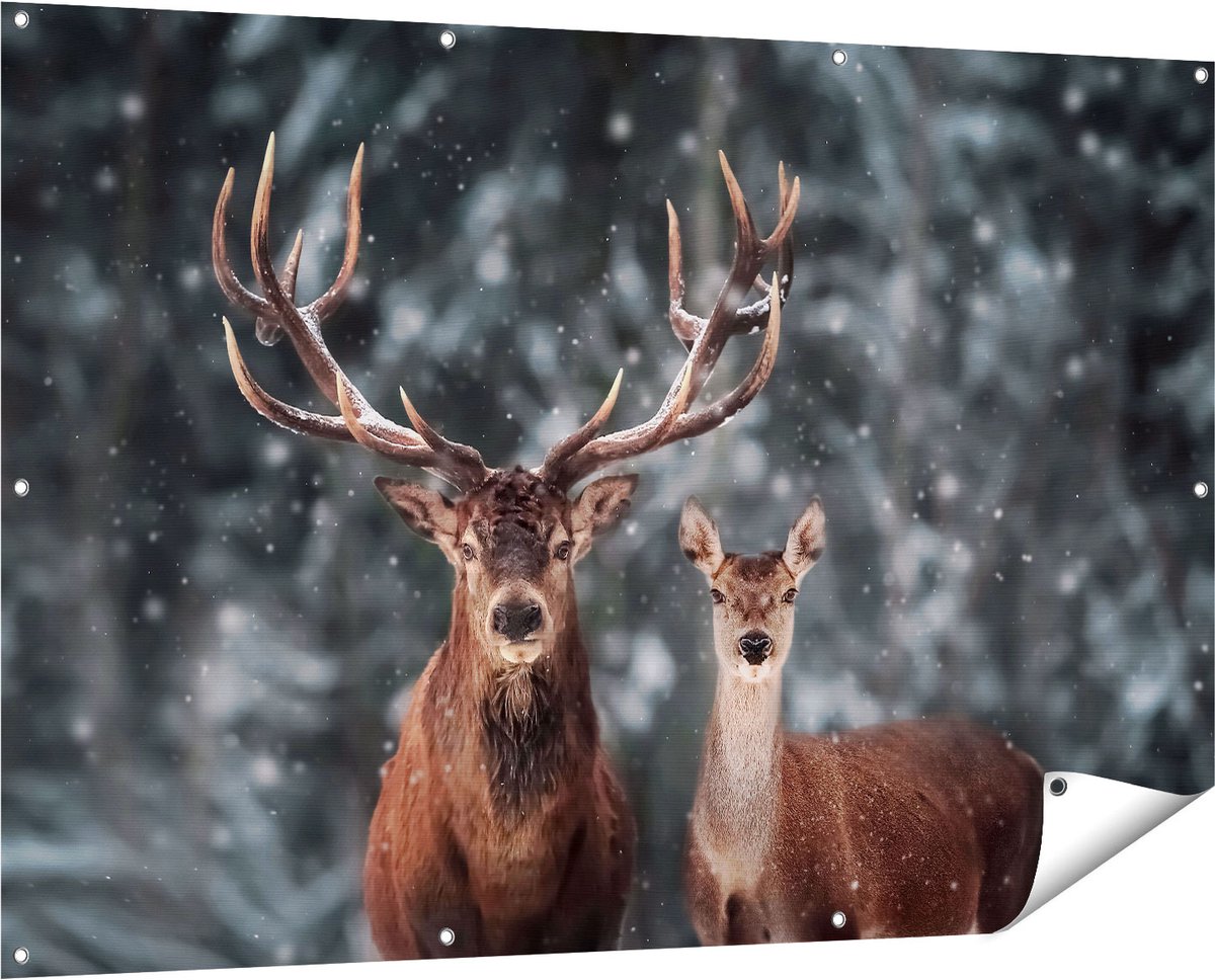 Gards Tuinposter Twee Herten met Sneeuw - 150x100 cm - Tuindoek - Tuindecoratie - Wanddecoratie buiten - Tuinschilderij Multikleur