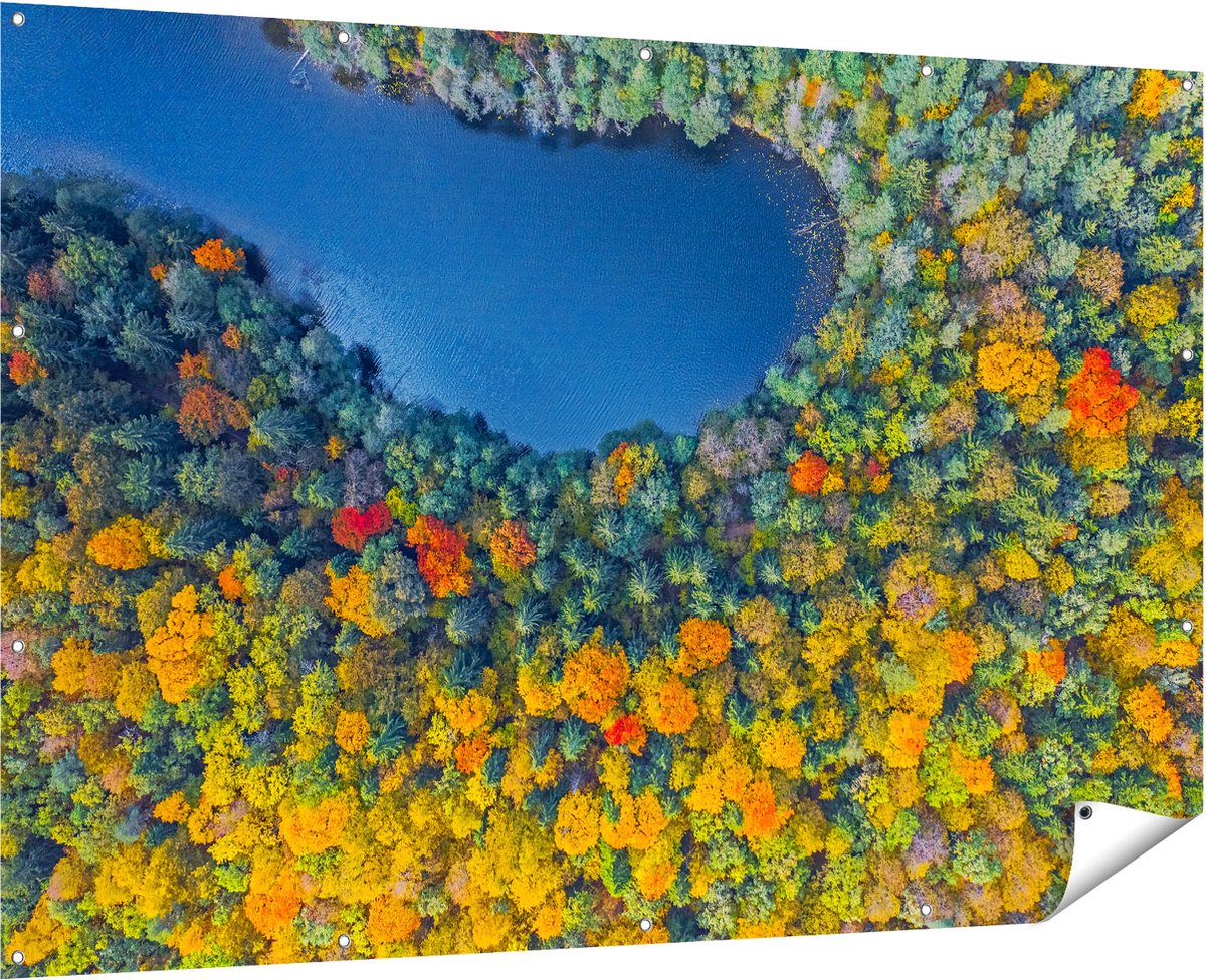 Gards Tuinposter Kleurrijke Bos met Bomen naast een Meer - 180x120 cm - Tuindoek - Tuindecoratie - Wanddecoratie buiten - Tuinschilderij Multikleur