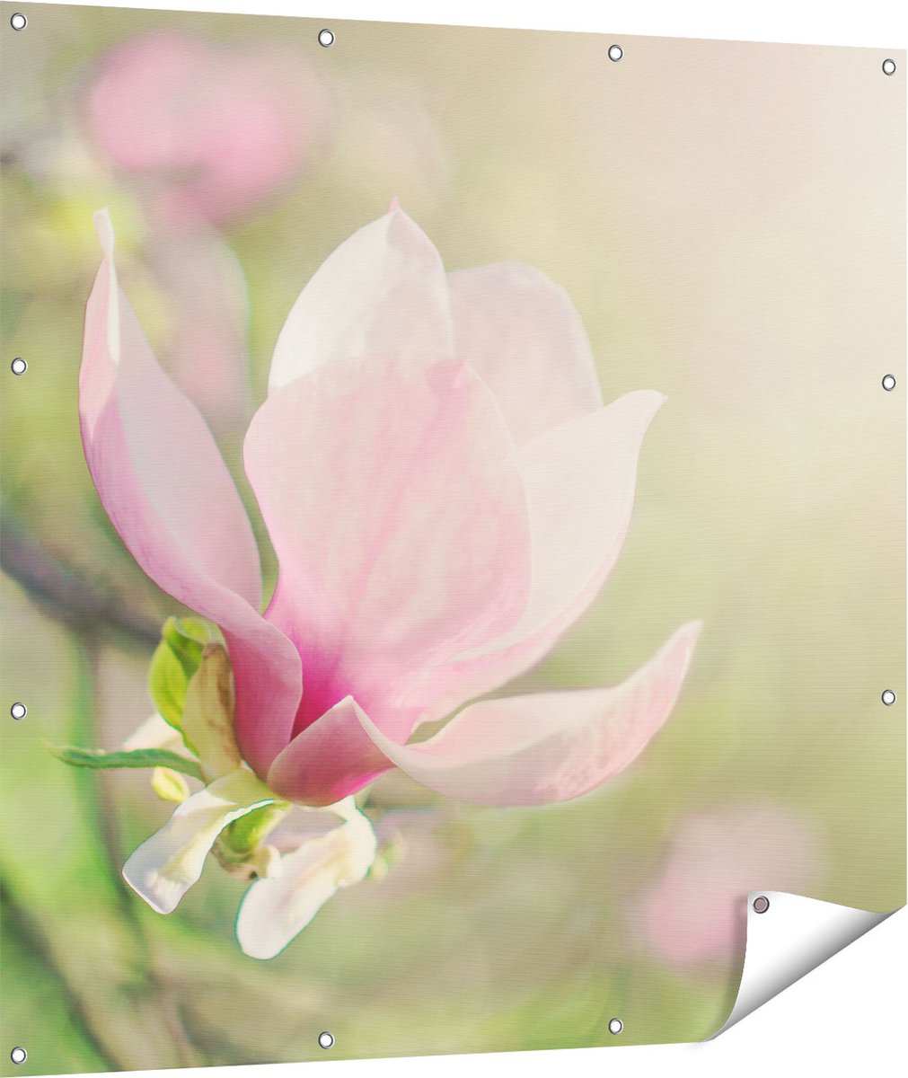 Gards Tuinposter Roze Magnolia Bloem - 110x110 cm - Tuindoek - Tuindecoratie - Wanddecoratie buiten - Tuinschilderij Multikleur