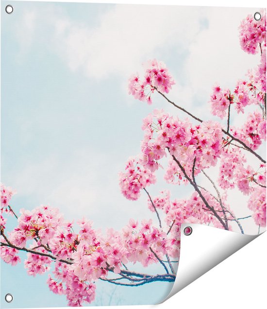 Gards Tuinposter Roze Bloesemboom - Bloemen - 60x60 cm - Tuindoek - Tuindecoratie - Wanddecoratie buiten - Tuinschilderij
