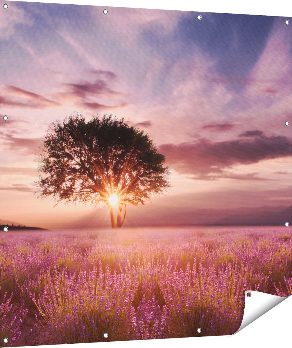 Gards Tuinposter Bloemenveld met Lavendel bij Zonsondergang - 120x120 cm - Tuindoek - Tuindecoratie - Wanddecoratie buiten - Tuinschilderij Multikleur