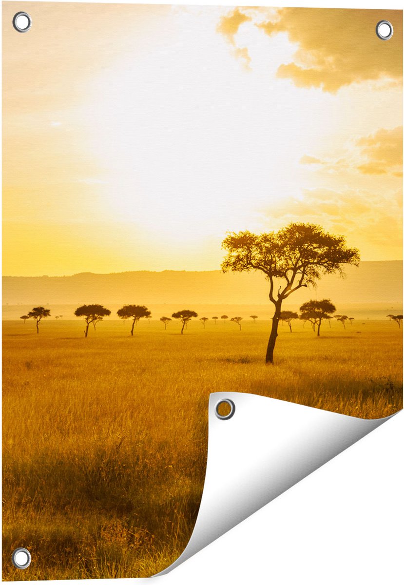 Gards Tuinposter Zonsondergang in de Savanne - 40x50 cm - Tuindoek - Tuindecoratie - Wanddecoratie buiten - Tuinschilderij Multikleur