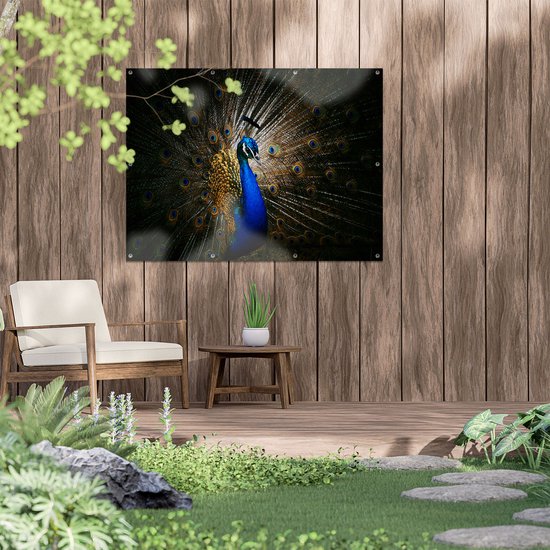 Gards Poster de jardin Paon bleu à grandes Ressorts - 120x90 cm - Toile de jardin - Décoration de jardin - Décoration murale extérieure - Tableau de jardin