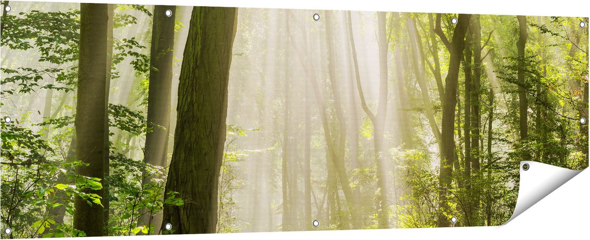 Gards Tuinposter Bos met Bomen en Zonneschijn - 180x60 cm - Tuindoek - Tuindecoratie - Wanddecoratie buiten - Tuinschilderij Multikleur