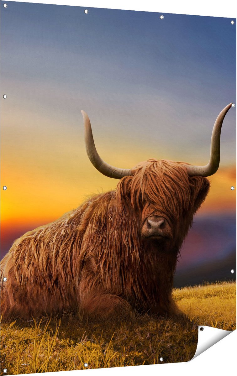 Gards Tuinposter Schotse Hooglander Koe op een Heuvel - 120x160 cm - Tuindoek - Tuindecoratie - Wanddecoratie buiten - Tuinschilderij Multikleur