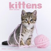 Kittens Kalender 2020