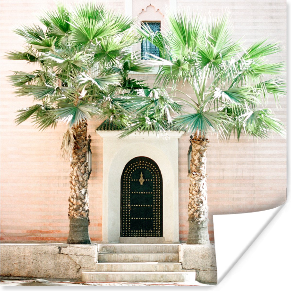 Deur - Marrakesh - Palmboom - Wit - Tropisch