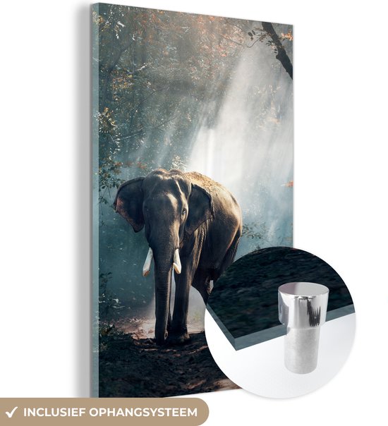 Glasschilderij olifant - Wilde dieren - Bos - Natuur - Muurdecoratie glas - Woondecoratie - 20x30 cm - Schilderij glas - Wanddecoratie slaapkamer