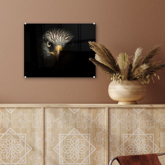 MuchoWow® Peinture sur verre 40x30 cm - Peinture sur verre acrylique - Vogel - Aigle - Rapaces - Oeil - Bec - Lumière - Photo sur verre - Peintures