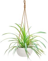 Belle Vous Witte Keramiek Binnen/Buiten Hangende Planten Pot – 69cm – Macrame Mand Bloemen Houder Pot – Touw met Hang Lus – Voor Decoratief Gebruik in Huis en Tuin