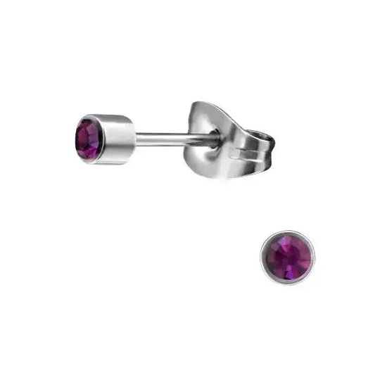 Aramat jewels ® - Zweerknopjes geboortesteen oorbellen 3mm februari licht paars chirurgisch staal