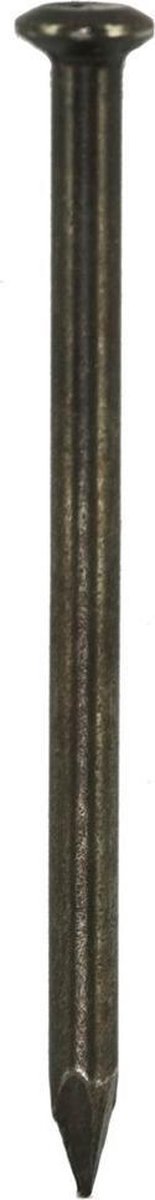 DQ stalen nagel 2.0x30mm bkv (100st)