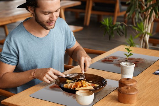 Set de Table - Napperons en Plastique - Écureuil - Animaux - Nature - Oranje - Wit - 45x30 cm - 6 pièces - Résistant à la Chaleur - Antidérapant - Coussinet - Amovible