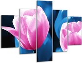 Glasschilderij -  Tulp - Roze, Blauw - 100x70cm 5Luik - Geen Acrylglas Schilderij - GroepArt 6000+ Glasschilderijen Collectie - Wanddecoratie- Foto Op Glas