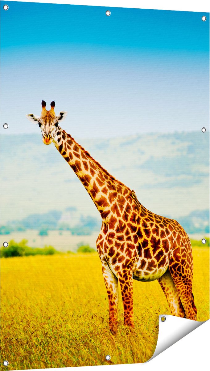 Gards Tuinposter Giraffe in het Veld - 80x120 cm - Tuindoek - Tuindecoratie - Wanddecoratie buiten - Tuinschilderij Multikleur