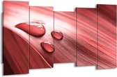 GroepArt - Canvas Schilderij - Druppel - Roze, Wit - 150x80cm 5Luik- Groot Collectie Schilderijen Op Canvas En Wanddecoraties