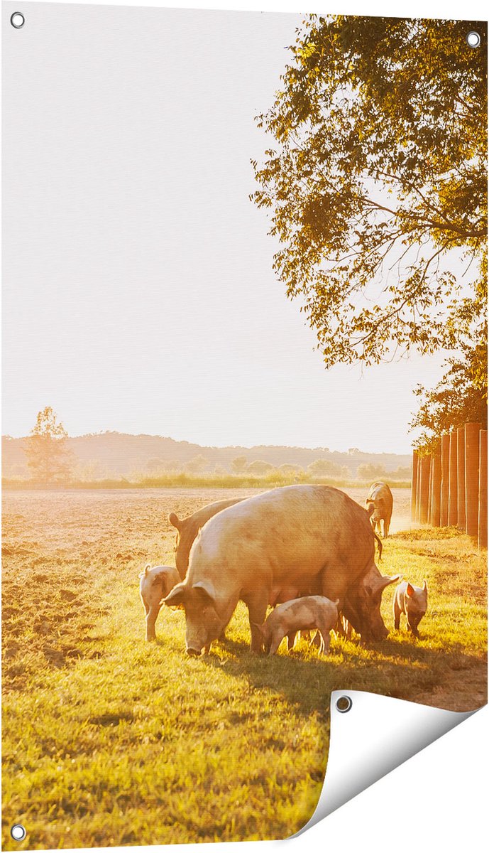 Gards Tuinposter Varken Familie - Varkens - 60x90 cm - Tuindoek - Tuindecoratie - Wanddecoratie buiten - Tuinschilderij Multikleur