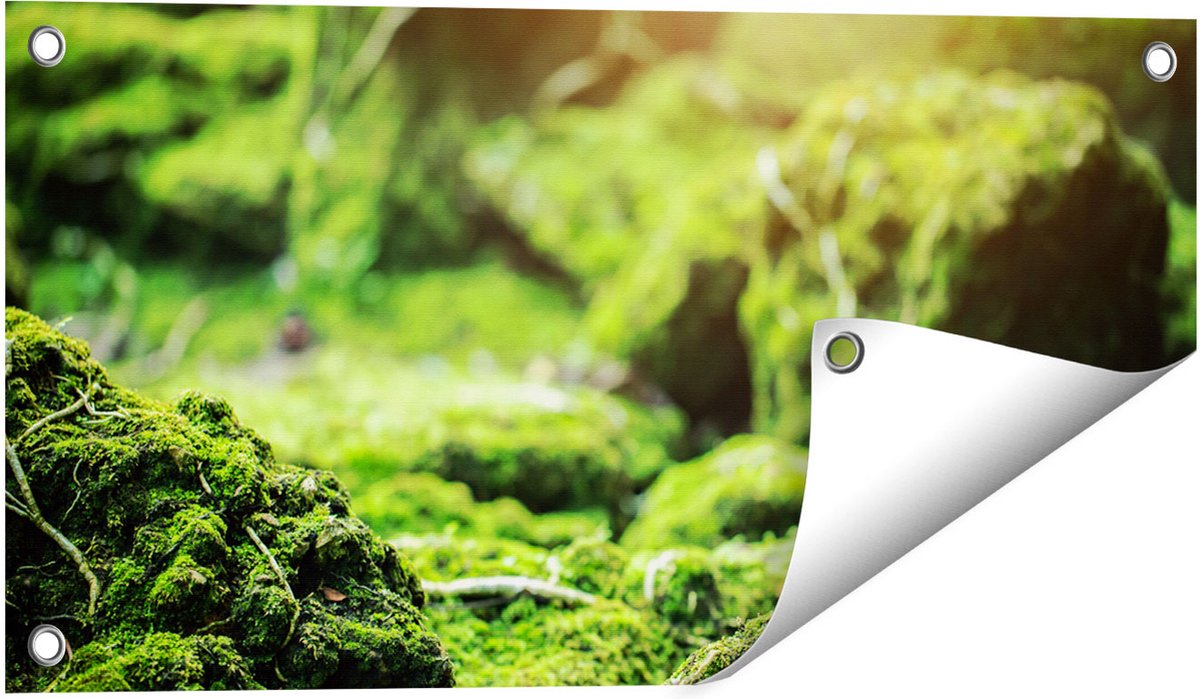 Gards Tuinposter Groen Mos Bedekt over Stenen - 60x30 cm - Tuindoek - Tuindecoratie - Wanddecoratie buiten - Tuinschilderij Multikleur