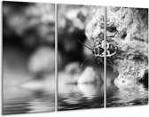 Peinture sur verre Insecte | Gris, noir | 120x80cm 3 Liège | Tirage photo sur verre |  F006731