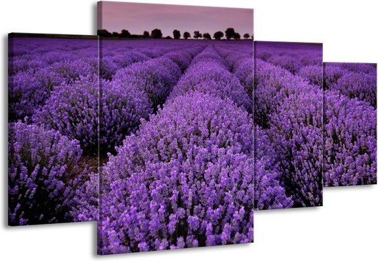 GroepArt - Schilderij -  Lavendel, Landelijk - Paars - 160x90cm 4Luik - Schilderij Op Canvas - Foto Op Canvas