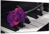 Peinture sur verre rose | Violet, noir, blanc | 120x70cm 1Hatch | Tirage photo sur verre |  F003642