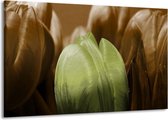 Peinture sur toile Tulipe | Vert, marron, noir | 140x90cm 1 Liège