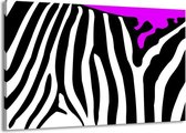 Schilderij Op Canvas - Groot -  Zebra - Paars, Zwart, Wit - 140x90cm 1Luik - GroepArt 6000+ Schilderijen Woonkamer - Schilderijhaakjes Gratis
