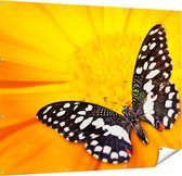 Gards Tuinposter Vlinder op een Oranje Bloem - 150x120 cm - Tuindoek - Tuindecoratie - Wanddecoratie buiten - Tuinschilderij
