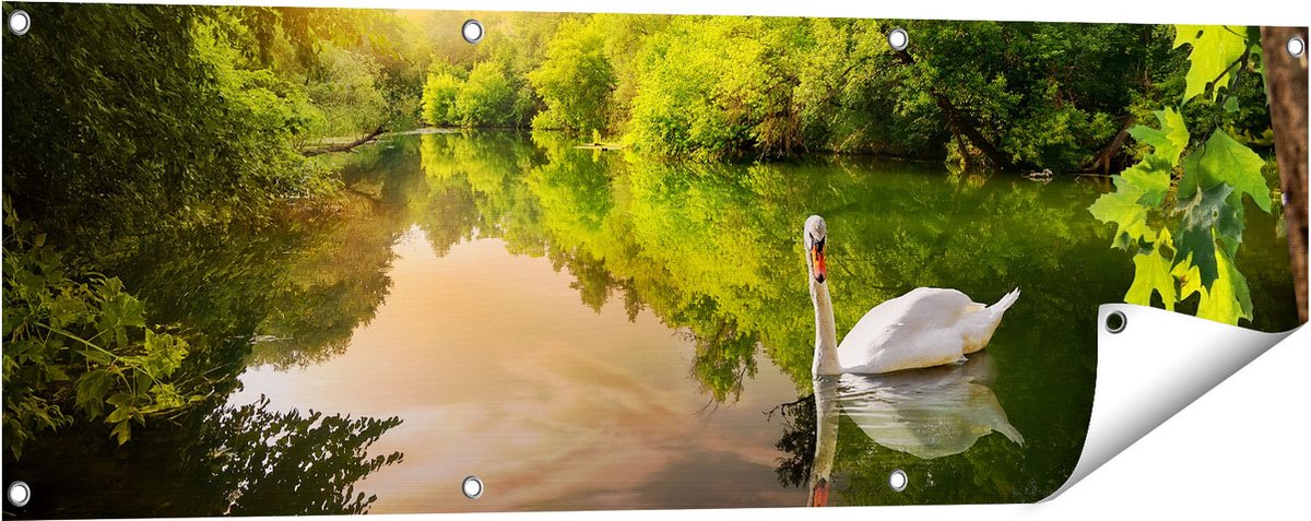 Gards Tuinposter Zwaan op het Water in het Bos - 120x40 cm - Tuindoek - Tuindecoratie - Wanddecoratie buiten - Tuinschilderij Multikleur