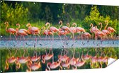 Gards Tuinposter Kudde Flamingo's op het Water - 200x100 cm - Tuindoek - Tuindecoratie - Wanddecoratie buiten - Tuinschilderij